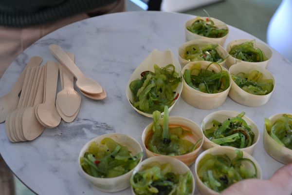 Jellyfish salad – a sustainable future food on offer at the Science week event